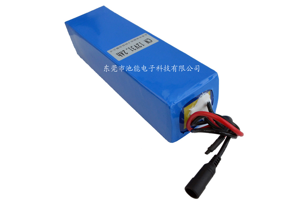 海洋檢測(cè)儀器鋰電池12V31200mAh 帶防水插頭